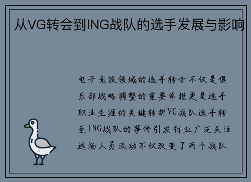 从VG转会到ING战队的选手发展与影响